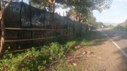 Keberadaan CV Ncuhi Hodo Tambora Berhasil Tekan Tambang Pasir Ilegal di Doroncanga